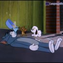 꼬마강아지 이미지