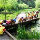 프로그램 이미지