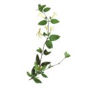 숲 동물의료센터 이미지