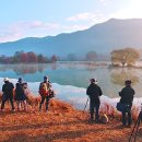 대가주천 이미지