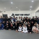 주짓수&엠엠에이 이미지