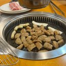 복복막창