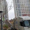 오림4길 | 여수포장이사, 걱정 없이 맡길 전문가를 찾았어요!