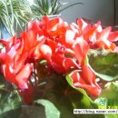 성림농장 이미지