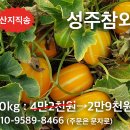 성주 이미지