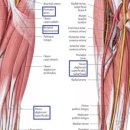 마디바름한의원 이미지