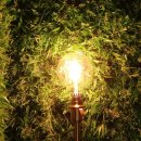 에버호텔 이미지