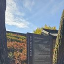 백곡재 | 밀양 금시당 백곡재 은행나무 맛집 경남 밀양 갈만한 곳