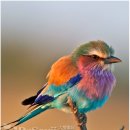 소망부동산공인중개사사무소 이미지