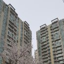 롯데캐슬클래식 이미지