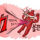 조류독감 예방방법! 이미지