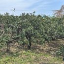 토평동-1 이미지