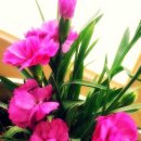 박사보건진료소 이미지