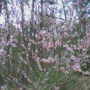 연지치안센터 이미지