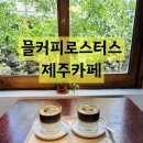 믈커피로스터스(MEUL COFFEE ROASTERS) | [제주 대정 믈커피로스터스] 궁금해서 가봤어요. 제주내돈내산카페