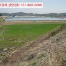 진성면사무소 이미지