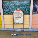 화전초등학교 이미지