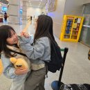 부산항 | 부산→하카타 뉴카멜리아 탑승 후기 부산항 국제여객터미널 수속부터 배 안 시설까지