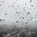 장산리막국수 네이버블로그