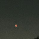 안양해장국 이미지