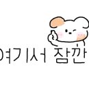 마산야구센터 인조잔디구장 네이버블로그