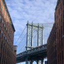 (주)해리텍스타일 | 4박 5일 뉴욕 NEW YORK 일정 &amp; 관광지, 먹거리, 볼거리 추천 리스트