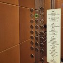 더(THE)식구 | [메리어트][칭다오]최고의 가성비 가족여행 더 웨스틴 칭다오 플래티넘 후기 (The Westin Qingdao)