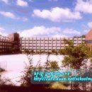 근화여자중학교 이미지