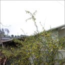 자연염색박물관 이미지