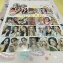 이시그코리아 이미지