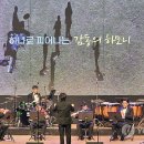 제주체임버오케스트라 이미지