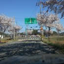 금진초등학교 이미지