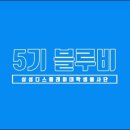블루비(BlueB) 네이버블로그