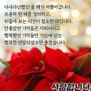 12월 10일 석촌호수 누미나리에 & 롯데월드 정원 야경 송년출사 이미지