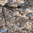 창원대로 이미지