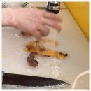 청춘수산 이미지