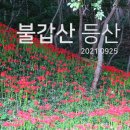 숲향여행사