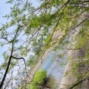 송정박상진호수공원 진입로 | 호수 괴물과 숨통 트이는 산책길 – 울산 송정 박상진호수공원 산책