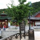 신라촌