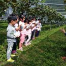 예밀포도마을팜스테이영농조합법인 이미지