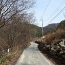 다그라스통나무민박 이미지