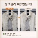 강남명품세탁소 이미지