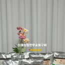 법원로 10 (1) 이미지