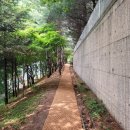 포은대로 이미지