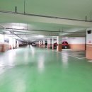 국화동성 이미지