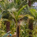 수피아동물병원 이미지