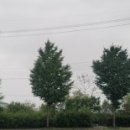 탑마당공인중개사사무소 이미지