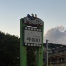 씨네팔공산 | 대구 자동차극장 씨네팔공산 자리 꿀팁 가격 상영표 평일후기