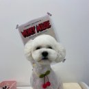 사랑옵개 이미지