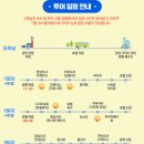 자유(관) | 베트남 나트랑 자유여행 코스 일정 3박5일 패키지 투어 예약 후기